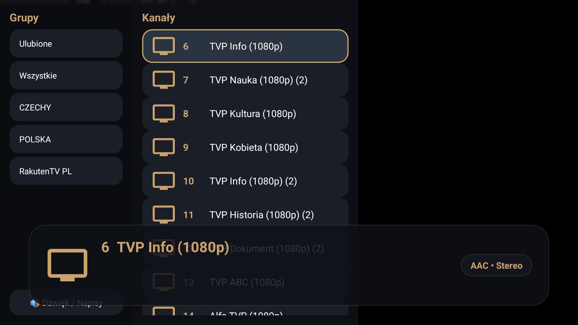 Lista kanałów telewizyjnych z logotypami na ekranie hotelowym
